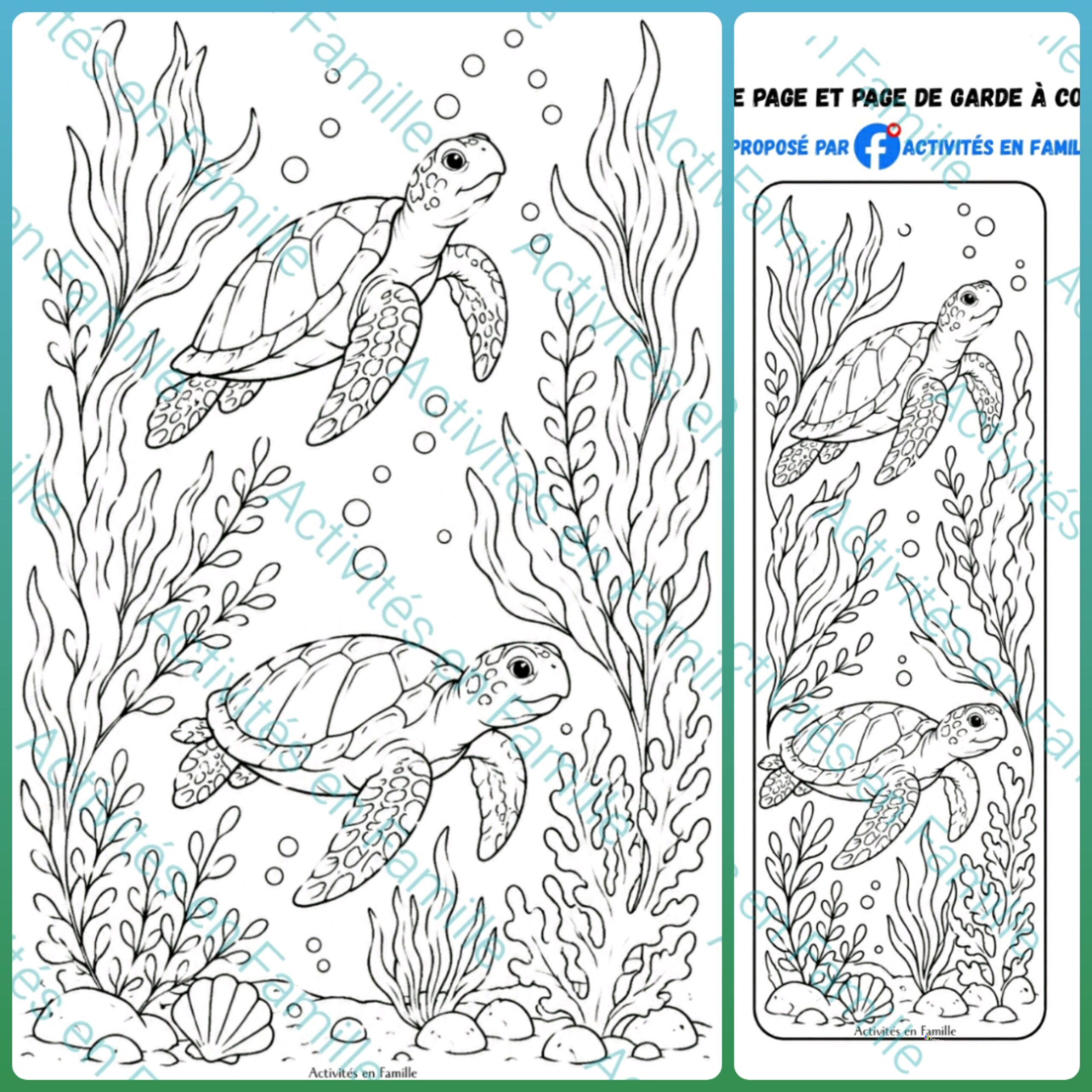Coloriages Tortue
