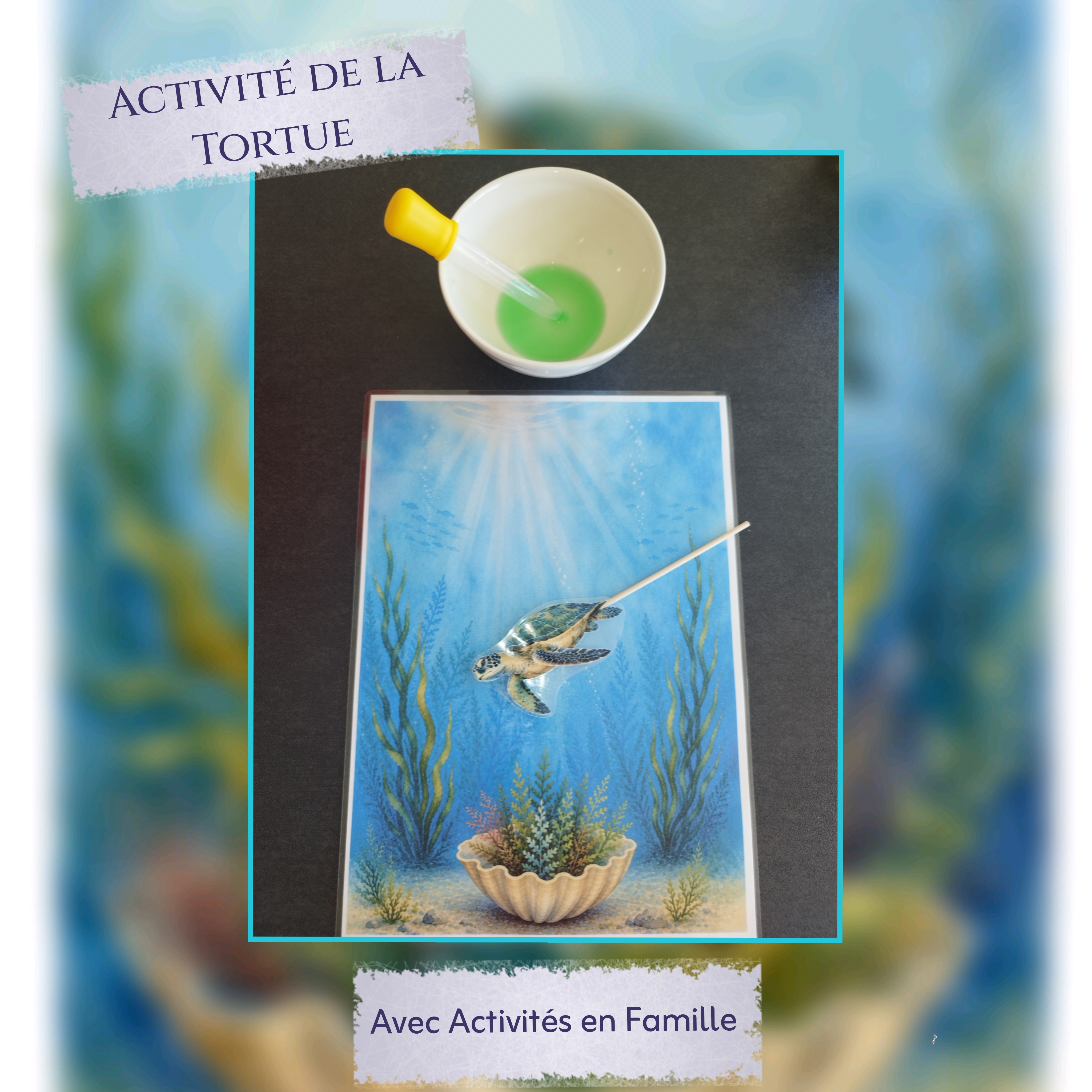 Activité de la Tortue