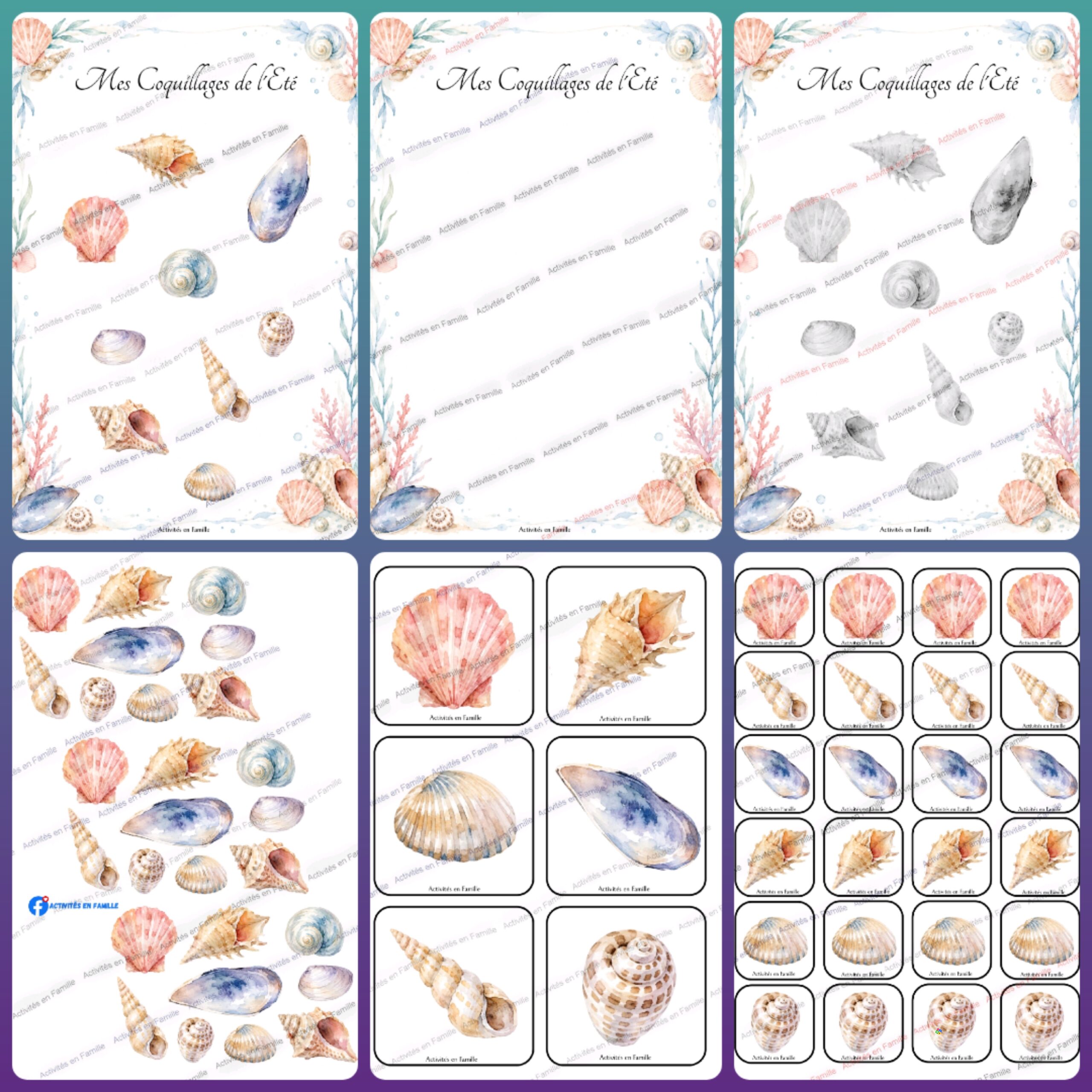 Mes Coquillages de l&rsquo;Été : L&rsquo;atelier tri, collage poétique et reconnaissance des formes !